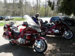 Goldwings am Schwaltenweiher