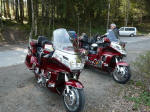 Goldwings am Waldsee Lindenberg
