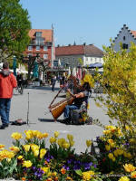 Musikant am Lindauer Hafen