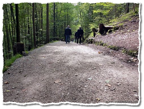 Das flache Stück Fortstweg (7,58 cm lang)